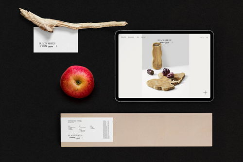 自然室内设计产品的品牌形象设计 在平面中注入呼吸感